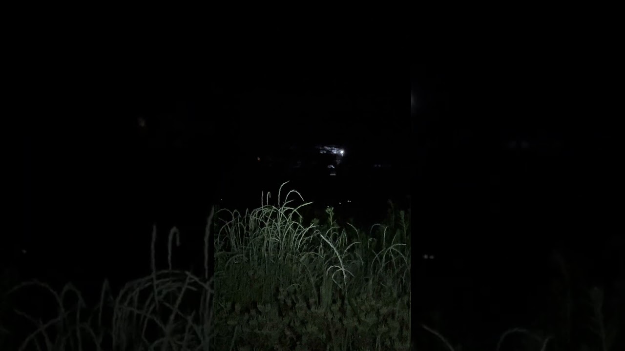 謎の生物に遭遇2026/5/19 24:19 山間部 #熊 #謎の生物