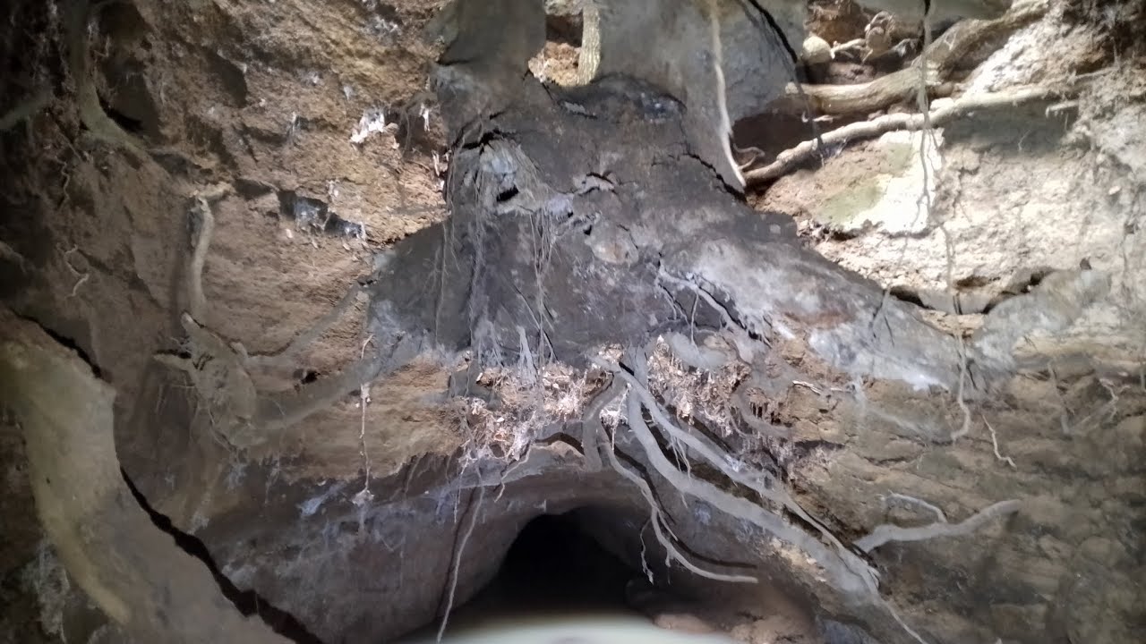 CUNICOLO ETRUSCO VIA BORDOLANO, PIETRA PERTUSA, ROMA #veio #luoghisegretiaduepassidaroma 