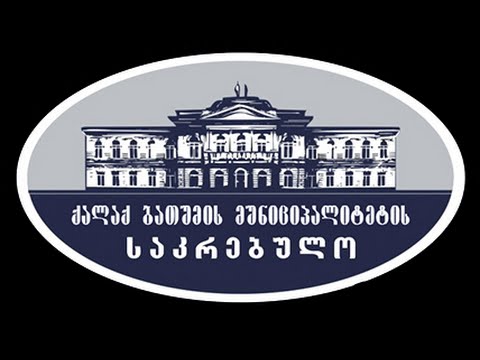 ღია კარის დღეს დასმული საკითხები