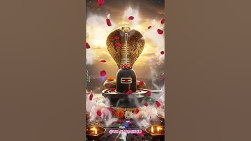 जय बाबा भोले भंडारी ☘️🕉️🌼🌺🙏 #harharmahadev #mahadev #shiv #bholenath #teamfx #shorts #shivshankar