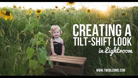 Creating a tilt-shift look in lightroom