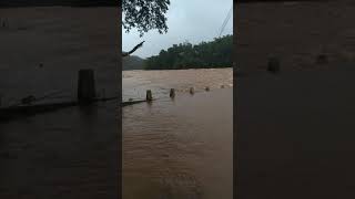 View of Hebbale Bridge at Kalasa during floods 2019