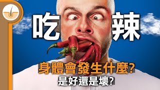 吃辣對身體產生的激烈反應，實際上是發生了甚麼呢? (繁中字幕)