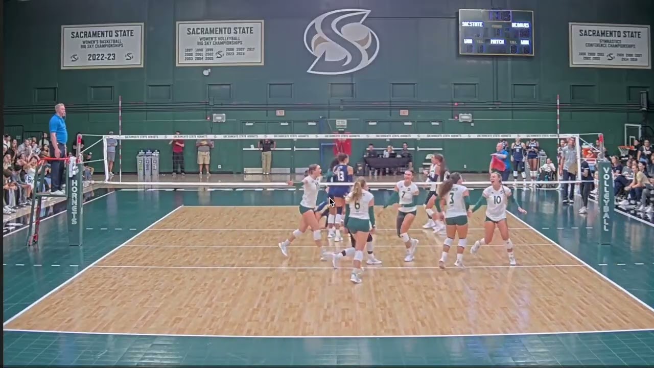 Kate Doorn Highlights