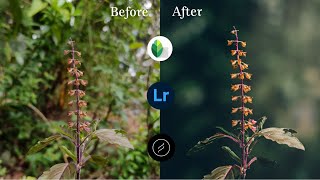 Flower Mobile editing & Background blurring | Lightroom color grading | Lens Distortions screenshot 1