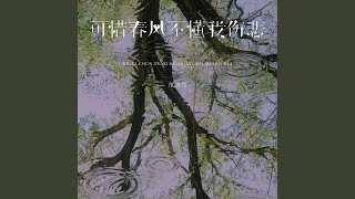 可惜春风不懂我伤悲