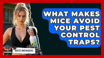 What Makes Mice Avoid Your Pest Control Traps? - Insects and Invaders