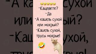 Кашель #смех #юмор #comedy #приколы #анекдотысмешные #комедия #юмор2025 #юмористы #анекдоты #юмор