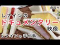【食品サンプル】大学生が制作してくれたレナインのドキュメンタリー動画。「この呉の片隅から〜スイーツサンプル職人〜」広島県呉市の食品サンプル職人をPRします。DIY Replica Food