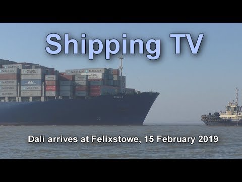 Container Ship Dali Arrives At Felixstowe, 15 February 2019