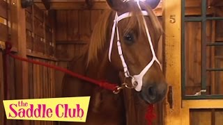 The Saddle Club Movie - Saving Pine Hollow | HD | Saddle Club Full Movie