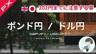 【ポンド円/ドル円】ポンド円202円までに注意すること。ドル円のここからの理想の動きは？【2024/5/29】