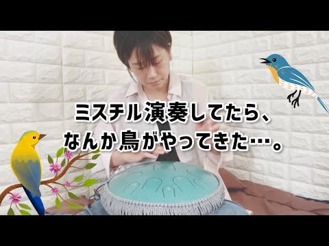 ミスチル演奏してたら鳥が窓に現れて！？【名もなき詩】Mr.Children#ミスチル