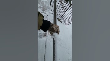 Removing Snow From Steel Walkway Railing