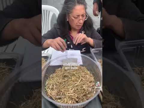 Huertos orgánicos, Casa