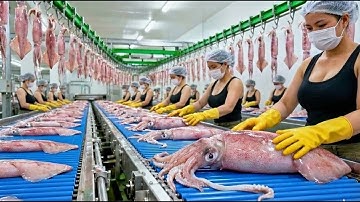 How Are Industrial Squid Rings Made? A Full Step-by-Step Factory Process from Sea to Product