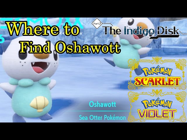 How to catch Oshawott in Pokémon Scarlet and Violet The Indigo Disk - Dot  Esports