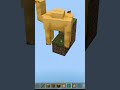 MINECRAFT , BUSTING  A POPULAR MYTHS 😱🐪 #minecraft #shorts