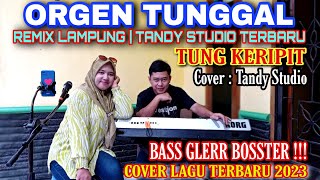 ORGEN TUNGGAL | TUNG KERIPIT RHOMA IRAMA | COVER TANDY STUDIO❗REMIX LAMPUNG TERBARU@tandystudio6343