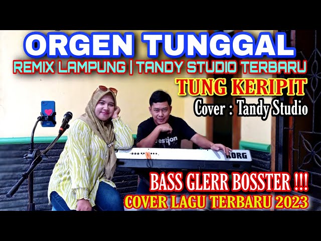 ORGEN TUNGGAL | TUNG KERIPIT RHOMA IRAMA | COVER TANDY STUDIO❗REMIX LAMPUNG TERBARU@tandystudio6343 class=