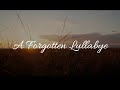 a forgotten lullabye. || amity