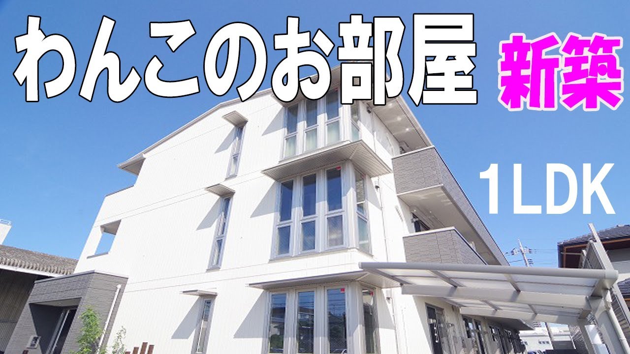 オシャレ部屋 一人暮らし新築１ｌｄｋ賃貸アパート岡山市北区野田