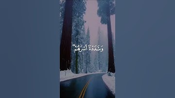 {إِنَّ هَٰؤُلَاءِ يُحِبُّونَ الْعَاجِلَةَ} #تلاوة_خاشعة #القارئ #اسلام_صبحي #ريح_قلبك