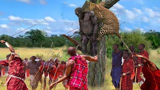 Maasai Indians Risked Their Lives To Attack Leopards To Protect Their Herds And What Happened Next?