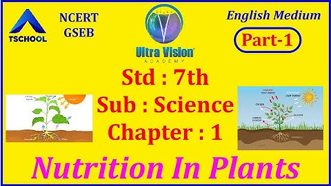 Std 7 | Eng Med | SCIENCE | Ch-1 | Nutrition In Plants | Part-1 | NCERT | @ultravisionacademy944