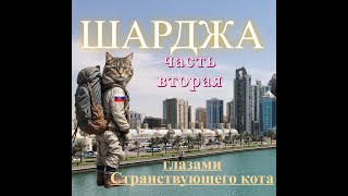 Странствие в Шарджу.Март 2025, второй день.