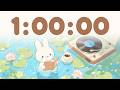 60 minute timer Chill in the Pond 🎵 | 1 Hour Timer with Music for Classroom