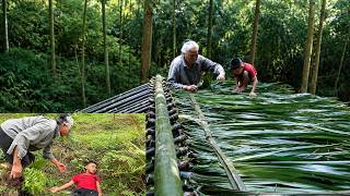 Thrown Away by Her Family, She Built a Bamboo House with the Boy She Saved