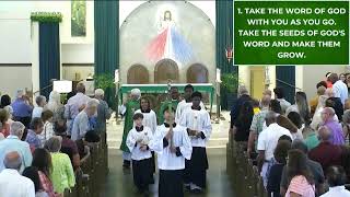 Fifteenth Sunday in Ordinary Time July 12 2026