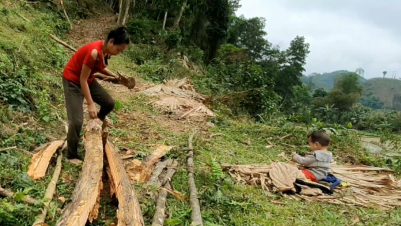 Mother and son go to collect firewood to sell _Daily life single mom ...