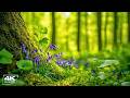 Beautiful Calming Music for Stress, Anxiety and Overthinking 🌿 Relaxing Music for Inner Peace