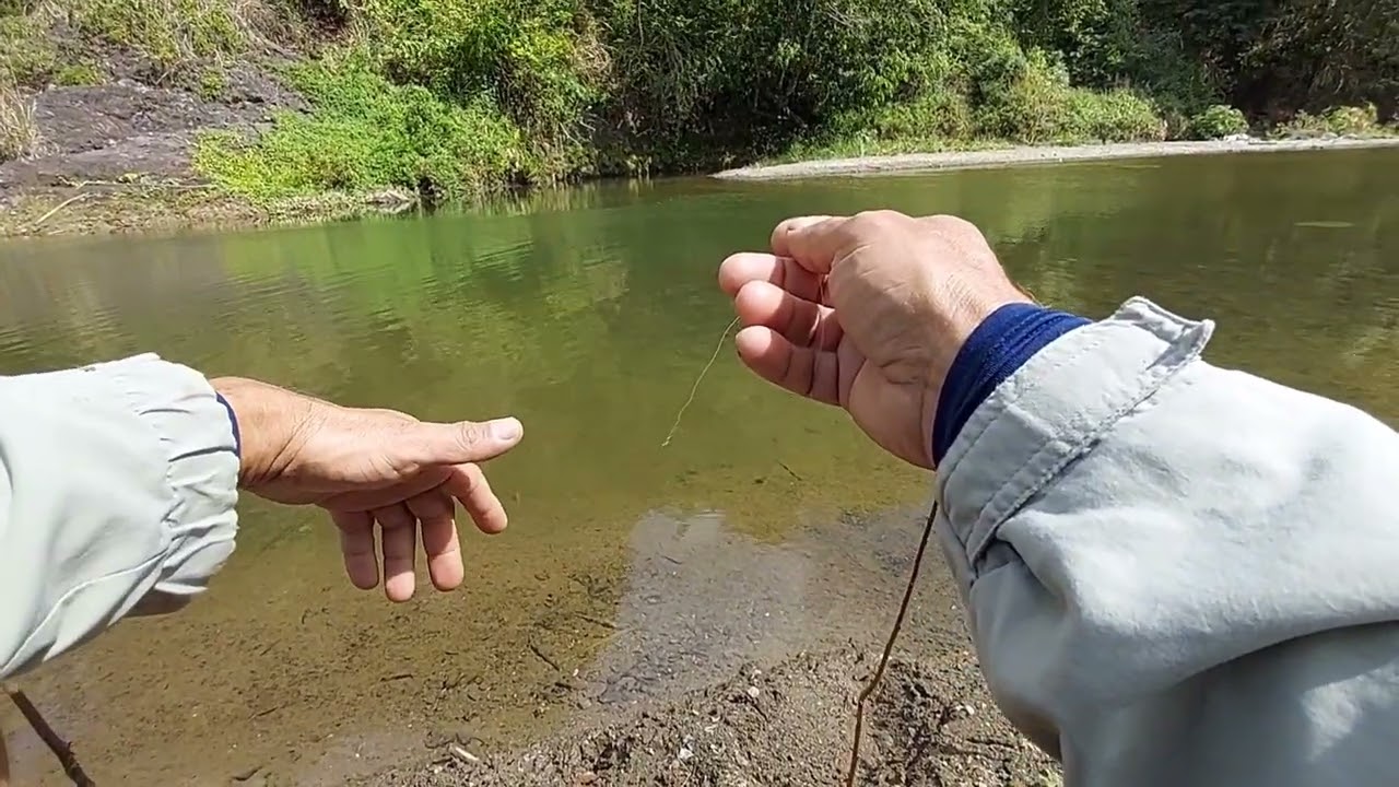 Un recorrido de pesca por éste hermoso río 🐟🎣