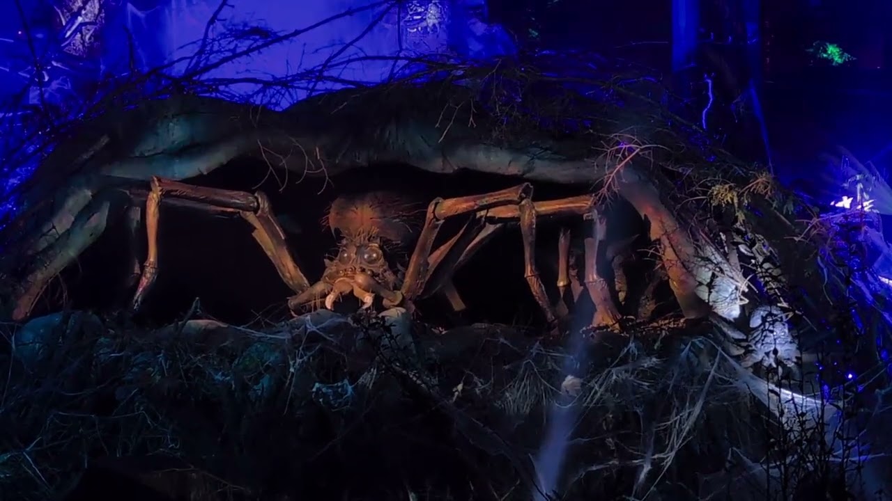 Harry Potter and The Forbidden Forest Experience in Vancouver, BC