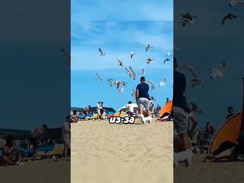 Чайки преследуют девушку на пляже 😄