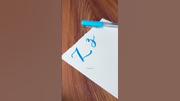 Letter ‘Z’ uppercase and lowercase brush pen calligraphy #lastletter #calligraphylattering