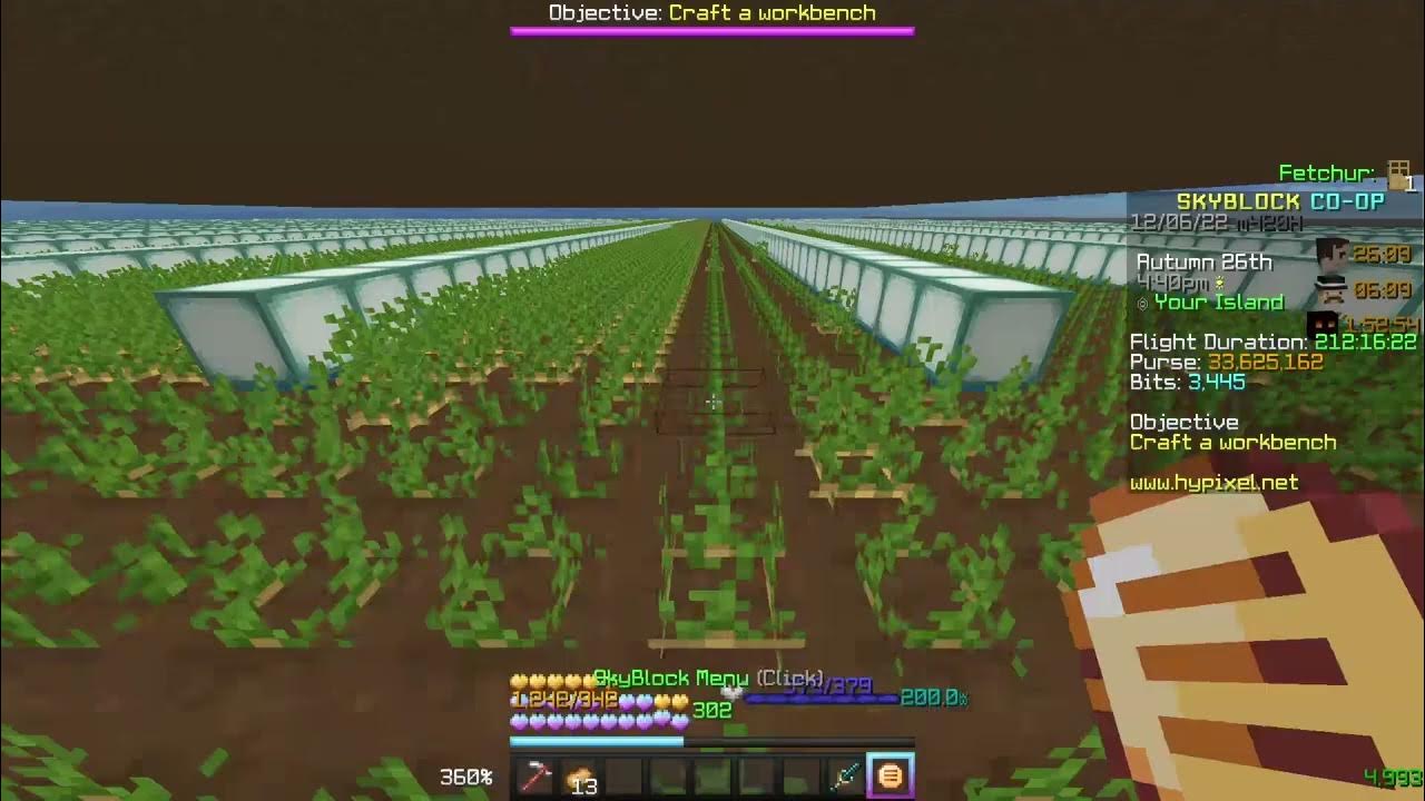 What it's like to get 10 MILLION COUNTER on a potato hoe (Hypixel