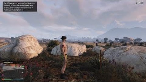 Finding myself the double action revolver in Grand Theft Auto V