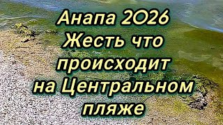 #АНАПА #ЖИВЕМ В АНАПЕ #КУПАЕМСЯ В МОРЕ 