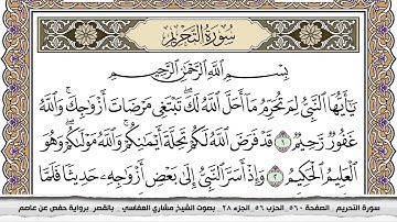 سورة التحريم مكتوبة مشاري العفاسي  Surah Al Tahreem Mishari Al Afasy بالقصر برواية حفص عن عاصم