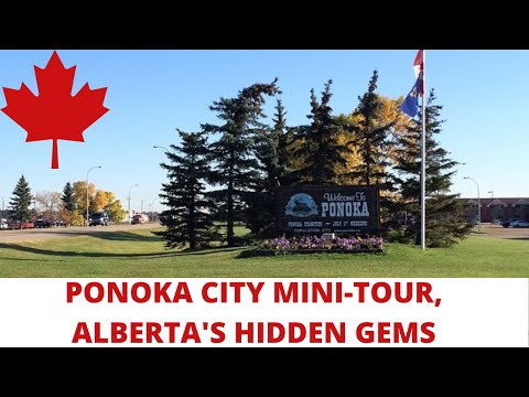 My little tour of Ponoka City, Alberta | Top cities to live in Alberta | Small Town Life | Abu MIcah