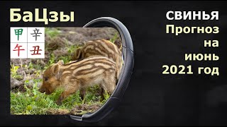 СВИНЬЯ прогноз на июнь 2021 от Анны Зайцевой