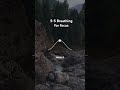 #breathingtechniques #breathing #breathetaking #relaxing #breathe #breathbreak