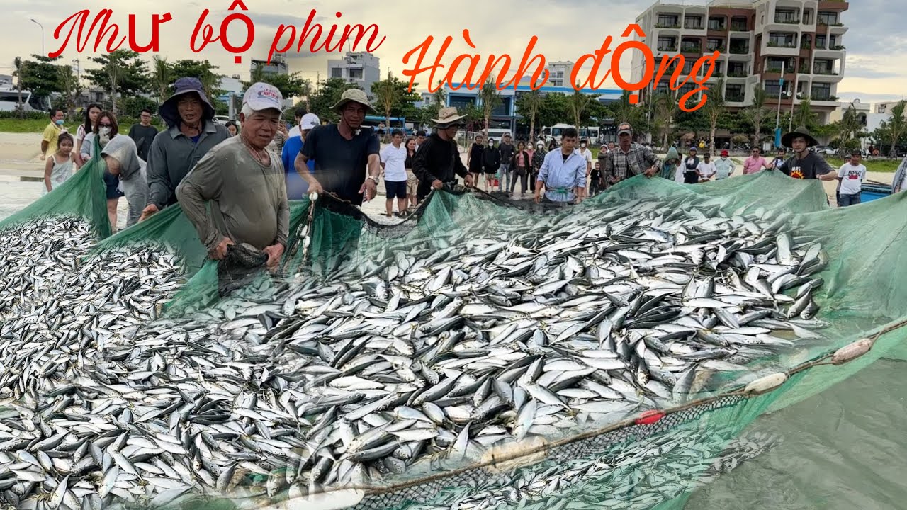 Top 3 Phim Hàng Động Đánh Bắc Cá Nhiều Nhất Việt Nam