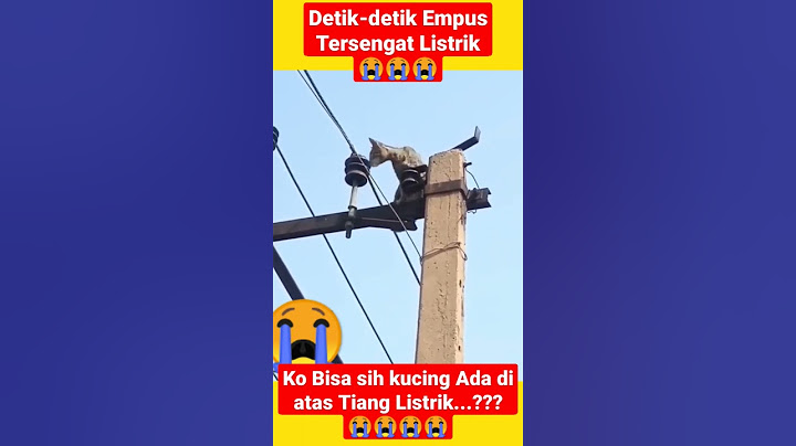 Ya Allah...!!! 😭Detik Detik empus Tersengat Listrik 😭😭😭 #shorts #short #viral #animals #kucing