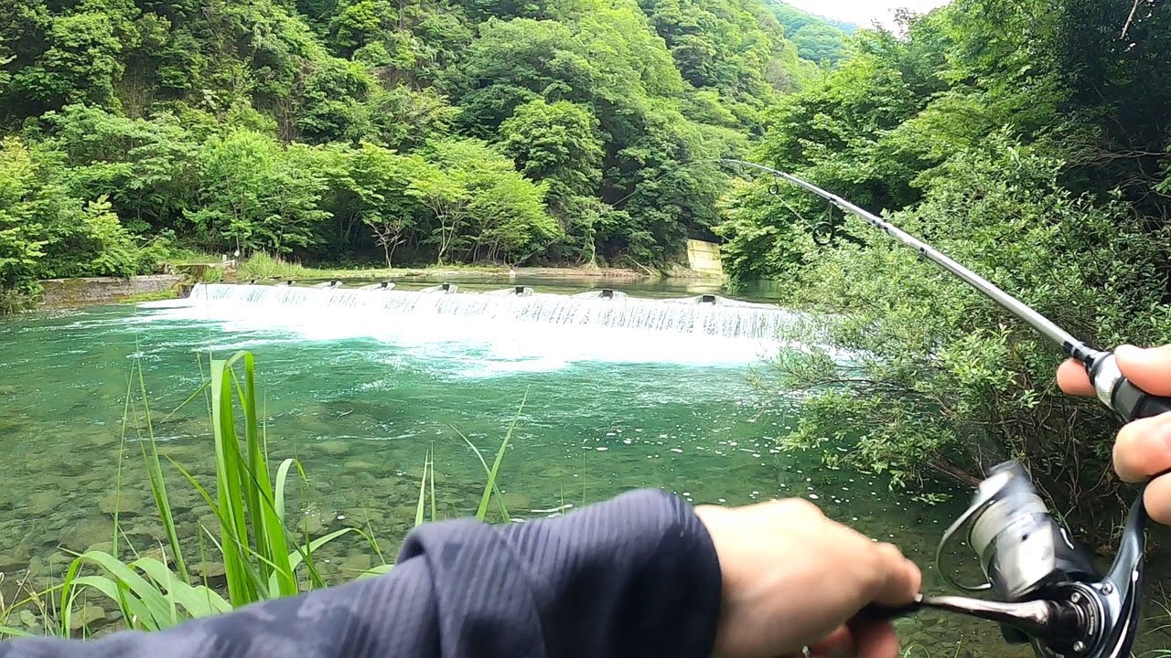 宮ヶ瀬湖の下には何がいるのか？