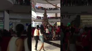 Giant Christmas Tree Lighting Countdown